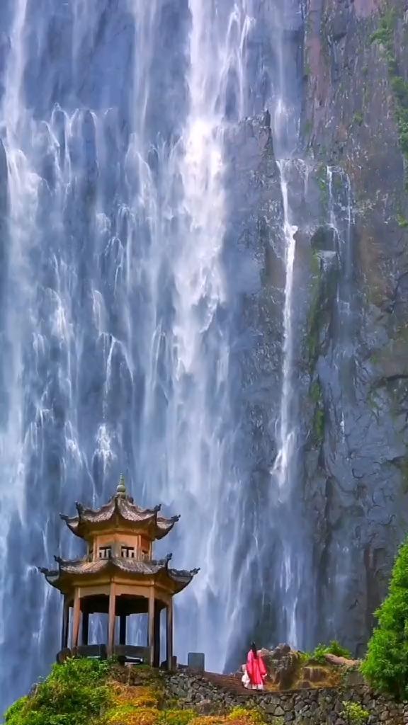 舞熊森林逃生